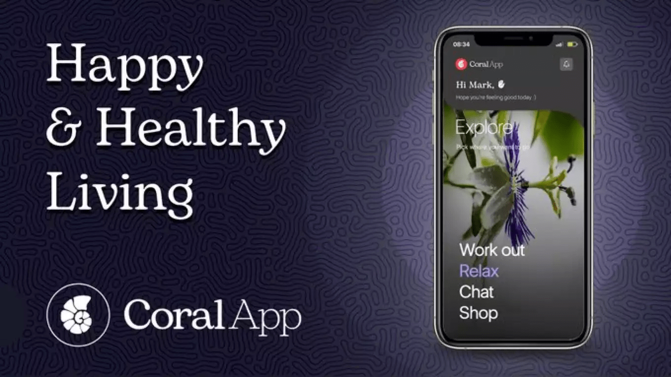 14 个种子选手<strong></p>
<p>币安binance</strong>，速览 Binance Labs 第 4 季孵化计划入选项目