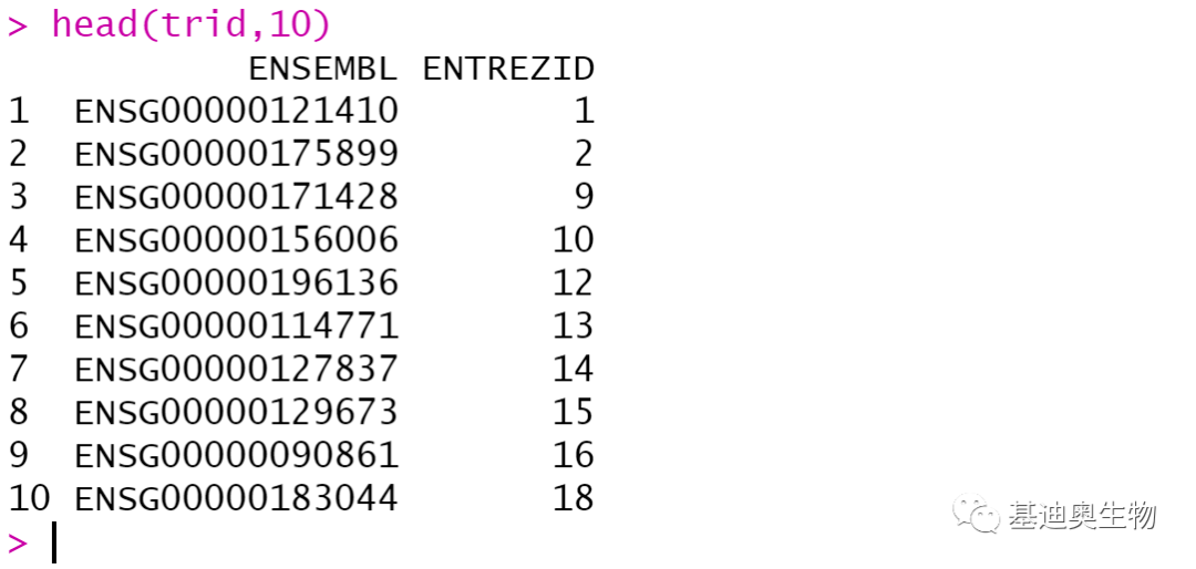 基因功能注释包下载、制作与富集分析