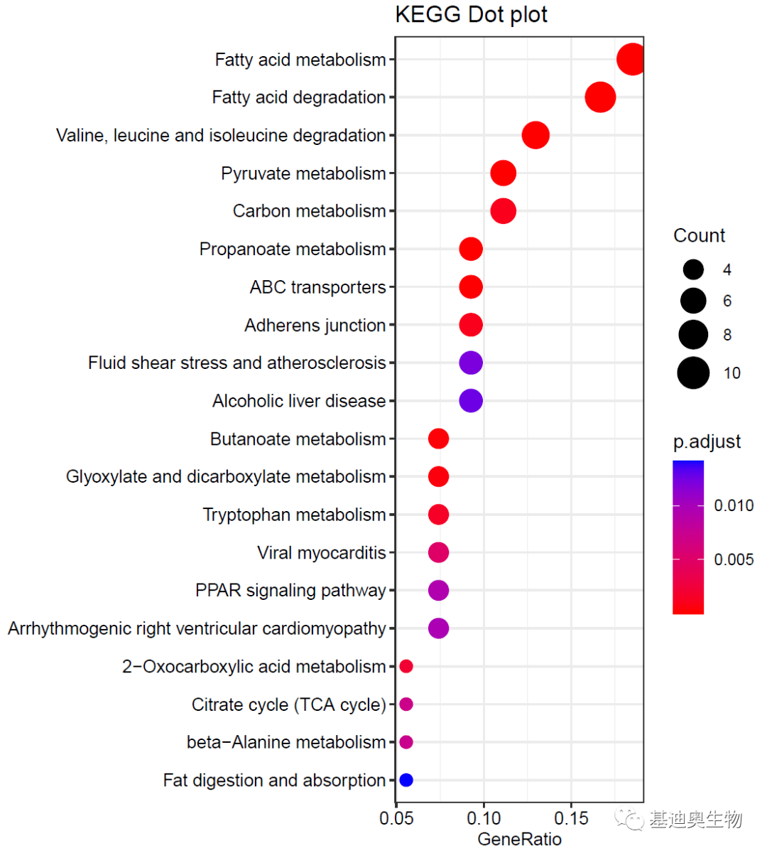 基因功能注释包下载、制作与富集分析