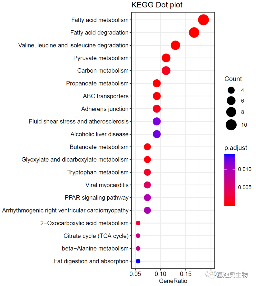 基因功能注释包下载、制作与富集分析