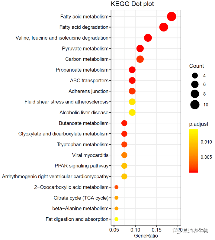 基因功能注释包下载、制作与富集分析