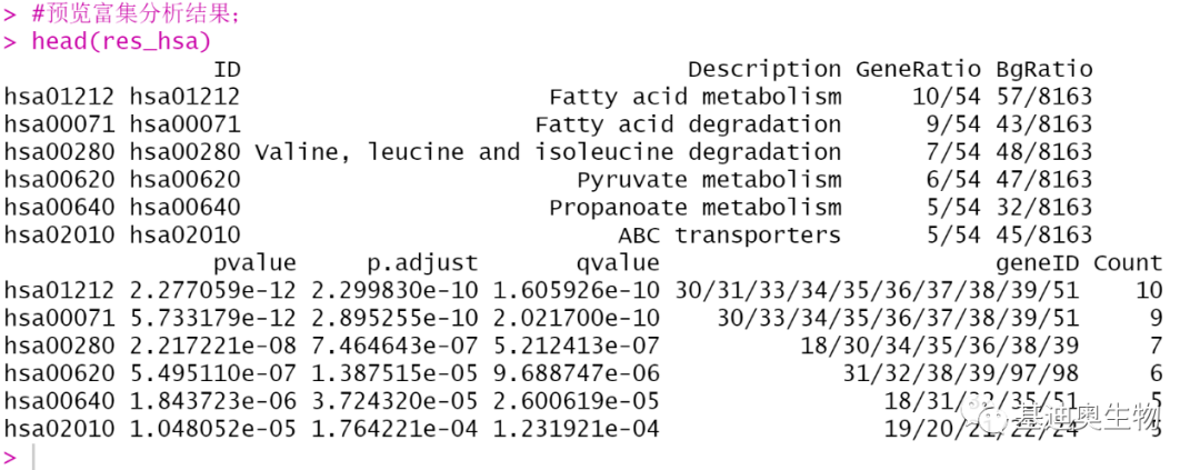 基因功能注释包下载、制作与富集分析