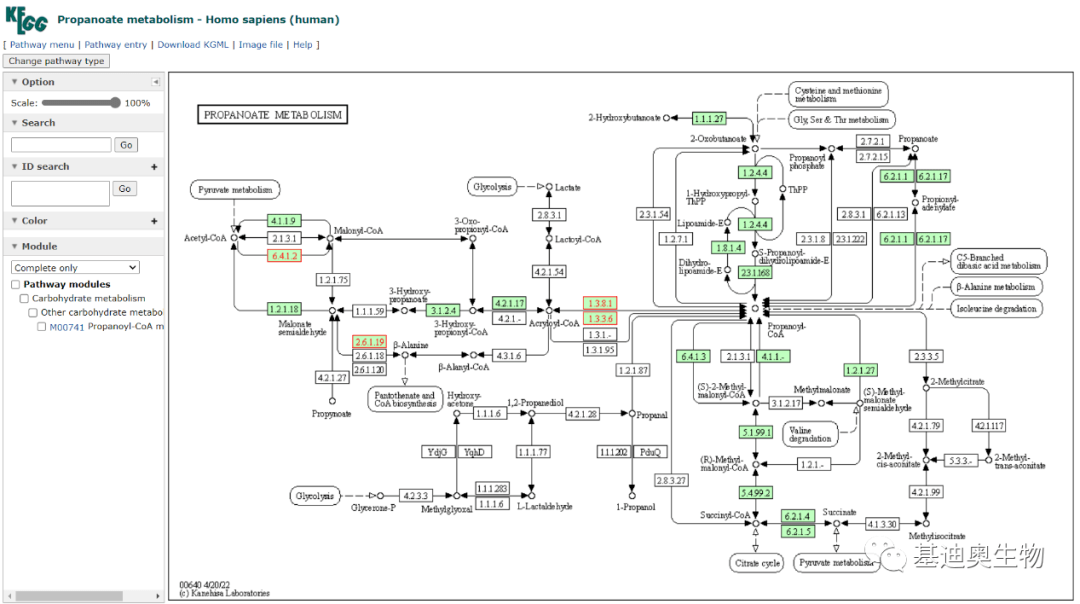 基因功能注释包下载、制作与富集分析