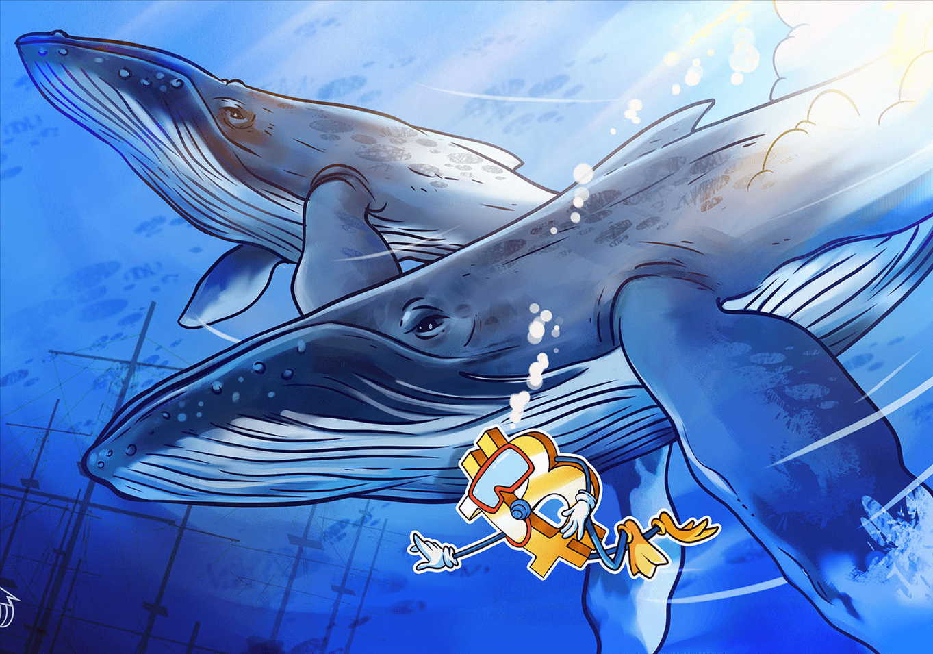 随着 BTC 价格接近 21000 美元<strong></p>
<p>btc价格今日行情</strong>，比特币鲸鱼仍在“冬眠”