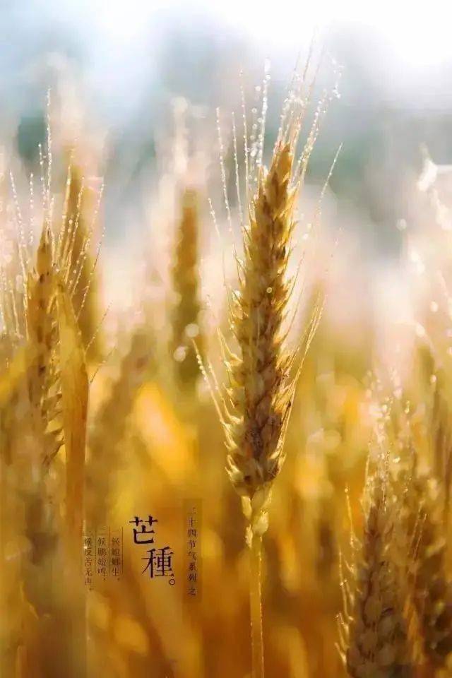 茅台酒6月6日价格行情<strong></p>
<p>比特币今日价格行情</strong>，全线下跌...