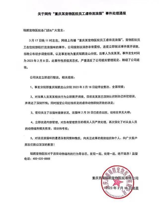 全国最大宠物连锁医院，IPO悬了