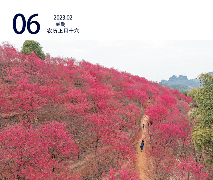 2023开年<strong></p>
<p>美股涨幅最大的股票</strong>，韶关楼市网签数据出炉！涨幅最大的是这个区…