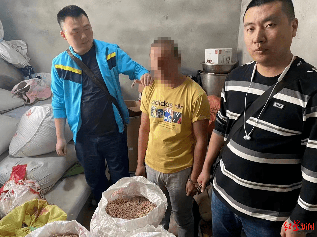 “中国麦冬之乡”两居民被盗近1吨中药材麦冬引轰动：多年来首次发生<strong></p>
<p>虚拟币被盗立案</strong>，嫌疑人落网