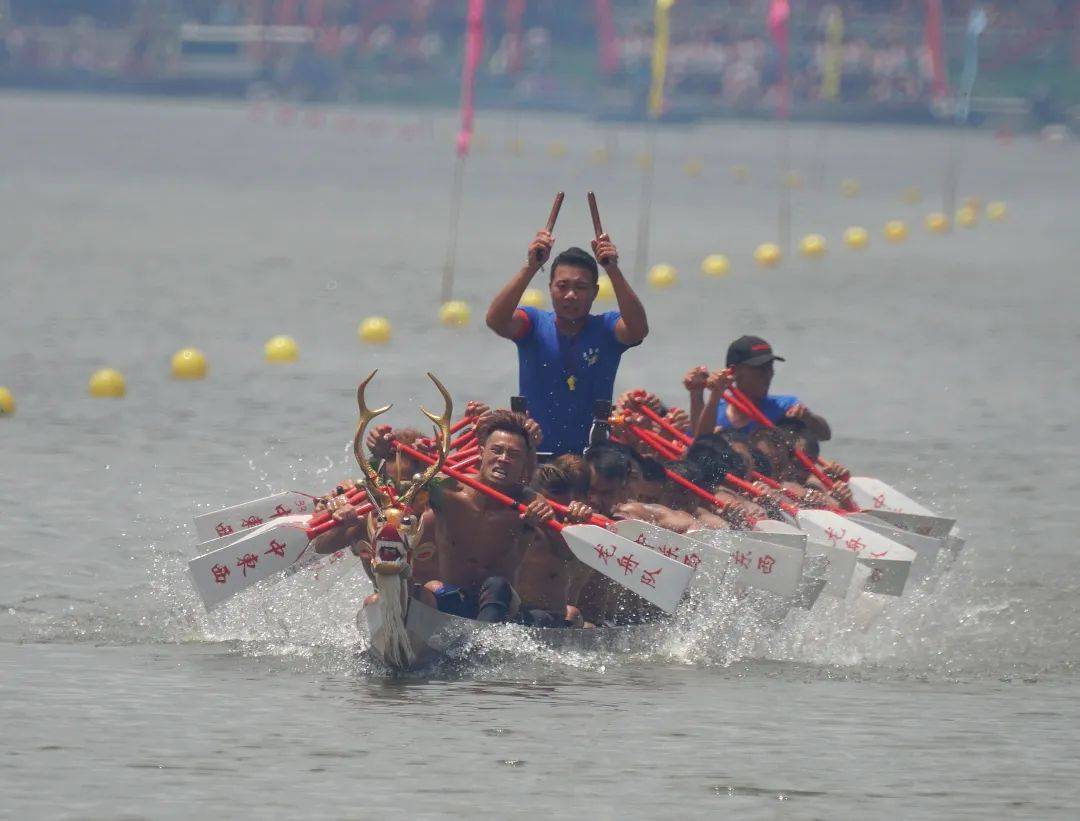 全网点赞！江门这位靓仔<strong></p>
<p>火币网</strong>，因为扒龙船火了...