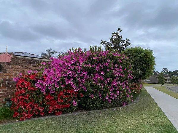 四十年后的澳洲将会怎样<strong></p>
<p>怎样投资虚拟币</strong>？澳洲房市十年跌宕悉尼成最大赢家 传周大福旗下公司拟购澳电厂 马斯克将向每位索赔投资者支付1.2万美元损失