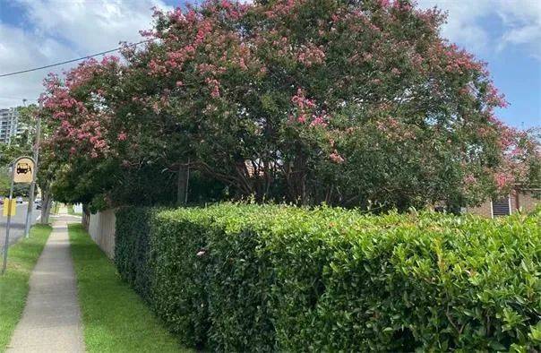 四十年后的澳洲将会怎样<strong></p>
<p>怎样投资虚拟币</strong>？澳洲房市十年跌宕悉尼成最大赢家 传周大福旗下公司拟购澳电厂 马斯克将向每位索赔投资者支付1.2万美元损失