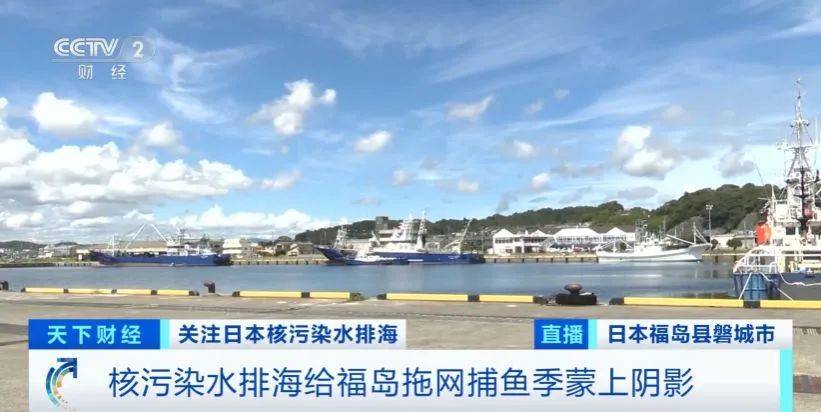 核污染水排海后<strong></p>
<p>虚拟币暴跌后</strong>，日本水产品价格暴跌！