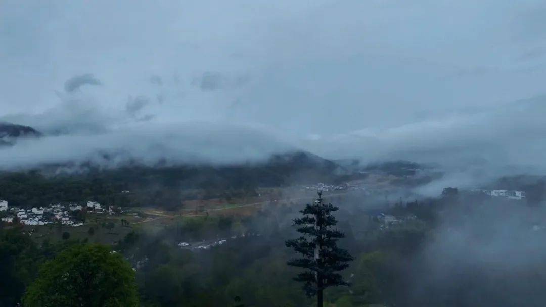 黄山铁塔融入数字中国发展