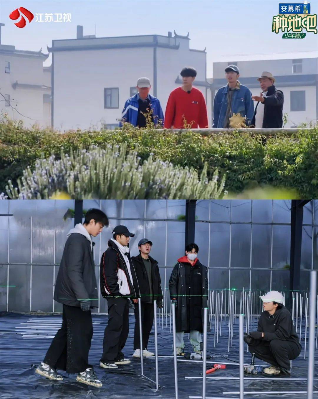 江苏卫视《种地吧2》王阳入乡随俗干活带劲 赵一博搭建水肥系统