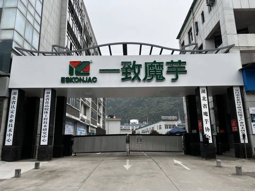 6500吨<strong></p>
<p>虚拟币全球排名</strong>！全球排名第一