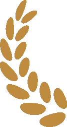 用量化突破职业天花板与交易转型｜Golden Quant全球模拟量化交易大赛携奖金与行业大佬来袭