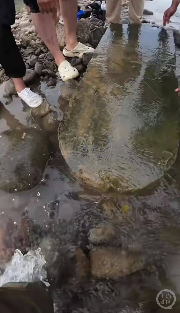 “当时就无心钓鱼了<strong></p>
<p>虚拟币下注</strong>！”河南钓友在洛阳附近“钓”到古碑？文保部门回应