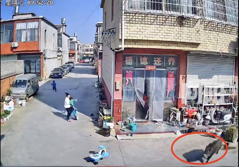 不是上海<strong></p>
<p>虚拟币交易网站</strong>！不是上海！不是上海！最新：已被特警击毙