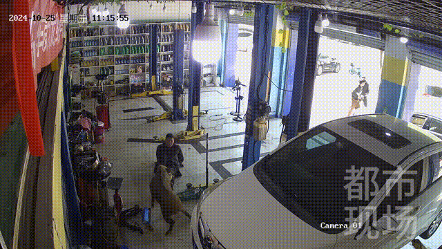 街头横冲直闯<strong></p>
<p>虚拟币交易网站</strong>，抱娃女子被撞伤，警方：已被特警击毙