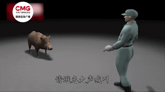 街头横冲直闯<strong></p>
<p>虚拟币交易网站</strong>，抱娃女子被撞伤，警方：已被特警击毙