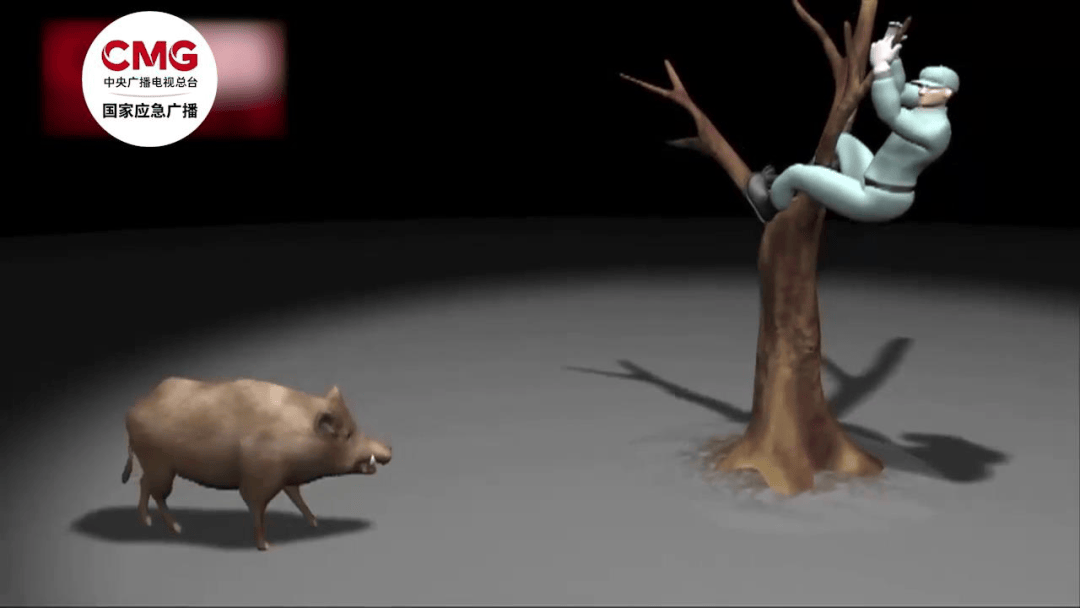 街头横冲直闯<strong></p>
<p>虚拟币交易网站</strong>，抱娃女子被撞伤，警方：已被特警击毙