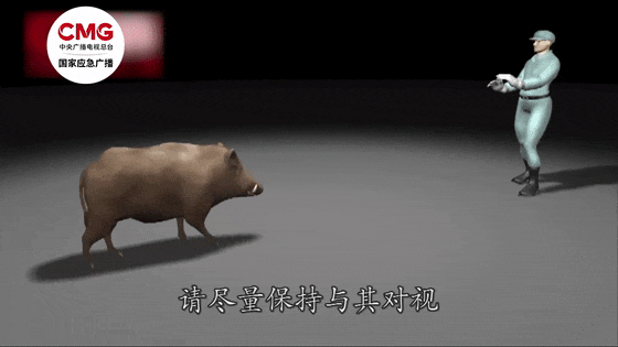 街头横冲直闯<strong></p>
<p>虚拟币交易网站</strong>，抱娃女子被撞伤，警方：已被特警击毙