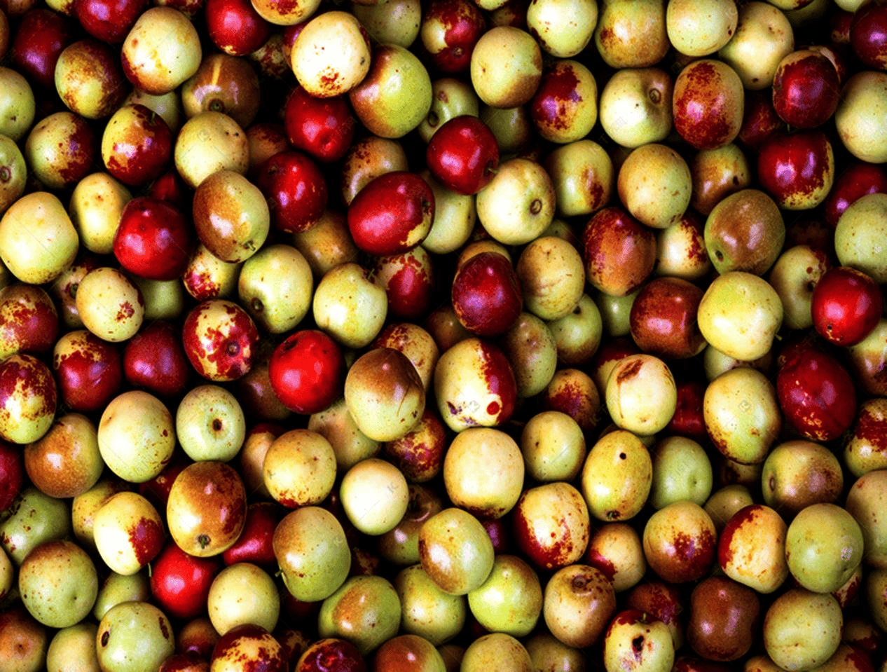 “含糖量”极高<strong></p>
<p>最值钱的虚拟币</strong>！解锁“北方水果公园”山西万荣的甜蜜