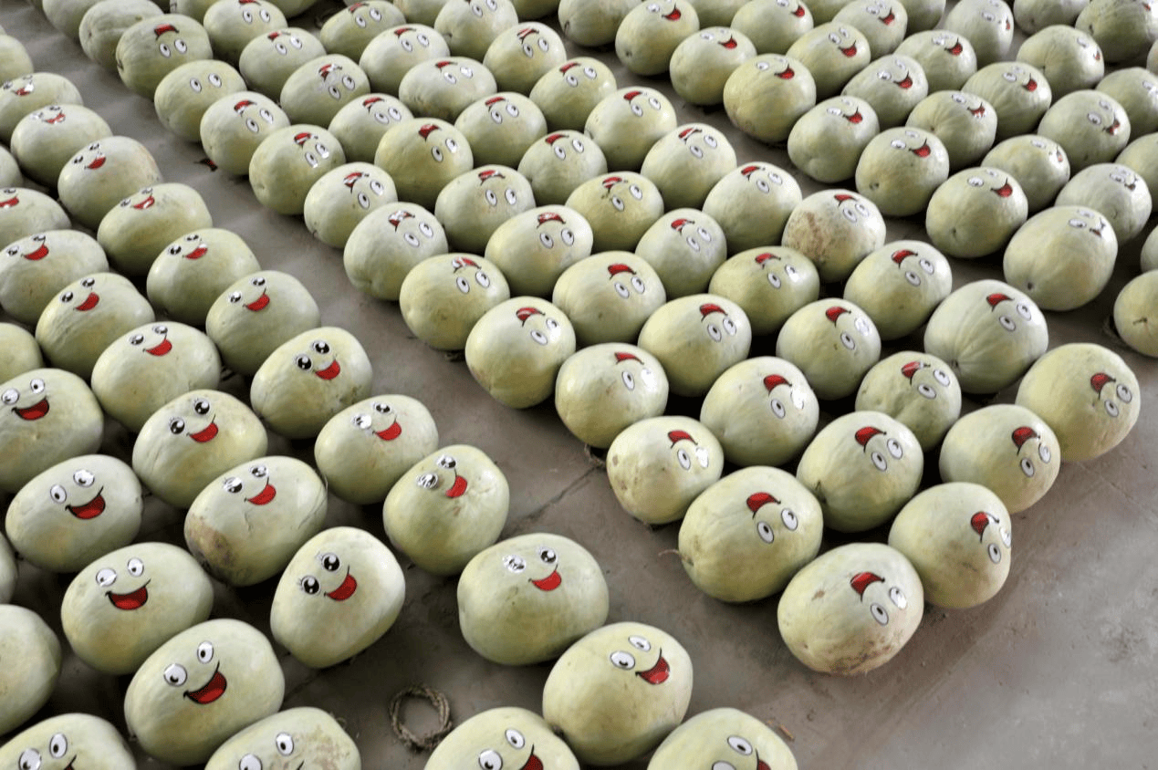 “含糖量”极高<strong></p>
<p>最值钱的虚拟币</strong>！解锁“北方水果公园”山西万荣的甜蜜