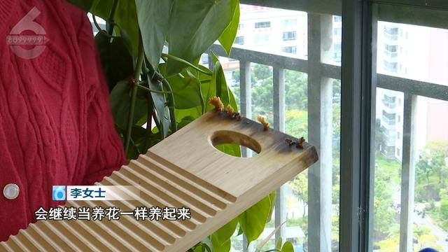 “可以蒸蛋”！昆明一女子家中搓衣板上长菌<strong></p>
<p>虚拟币理财该如何选择</strong>，品种竟是……