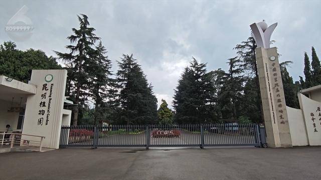 “可以蒸蛋”！昆明一女子家中搓衣板上长菌<strong></p>
<p>虚拟币理财该如何选择</strong>，品种竟是……