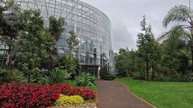 “可以蒸蛋”！昆明一女子家中搓衣板上长菌<strong></p>
<p>虚拟币理财该如何选择</strong>，品种竟是……