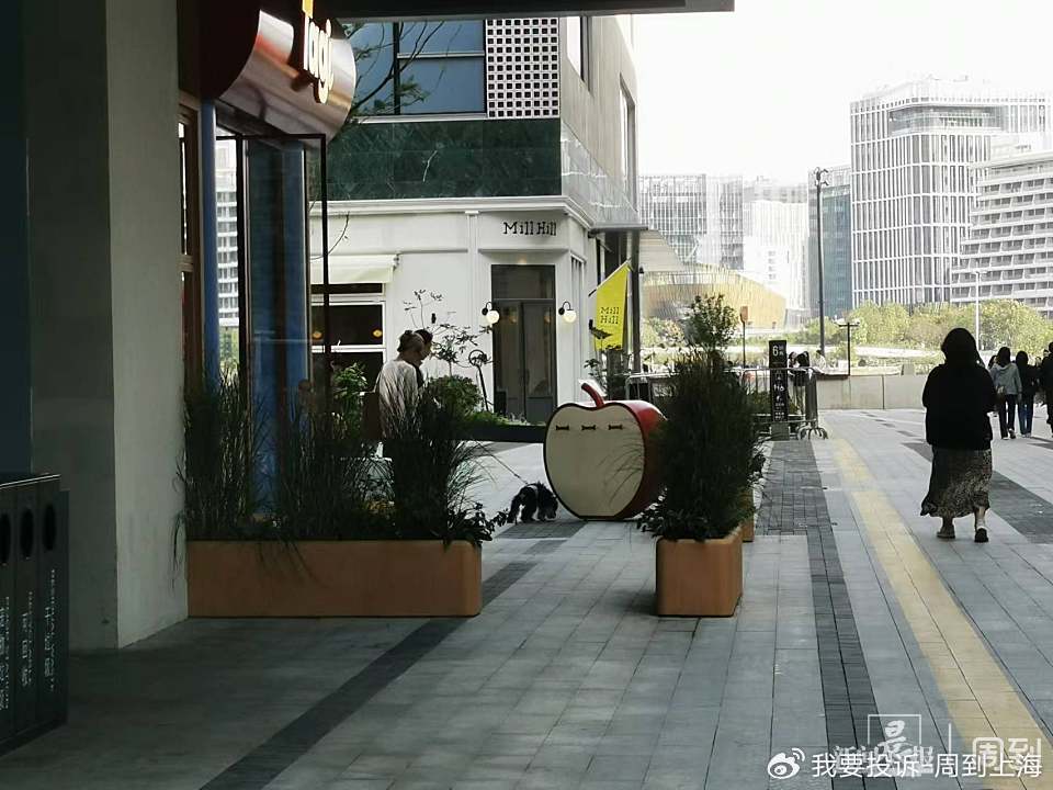 上海现“停狗处”太超前？记者实探：不止一处<strong></p>
<p>虚拟币理财该如何选择</strong>，有人点赞有人忧