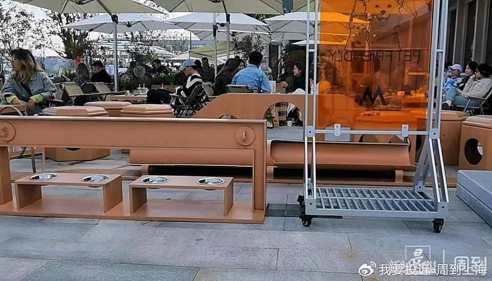 上海现“停狗处”太超前？记者实探：不止一处<strong></p>
<p>虚拟币理财该如何选择</strong>，有人点赞有人忧