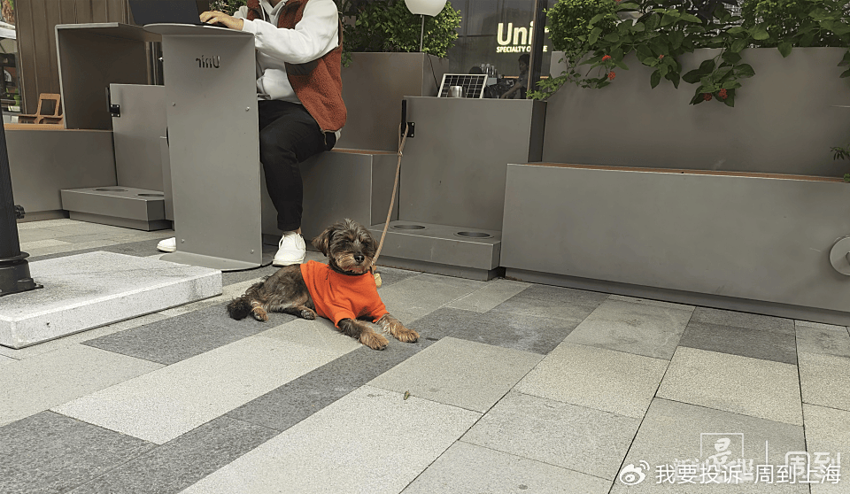 上海现“停狗处”太超前？记者实探：不止一处<strong></p>
<p>虚拟币理财该如何选择</strong>，有人点赞有人忧