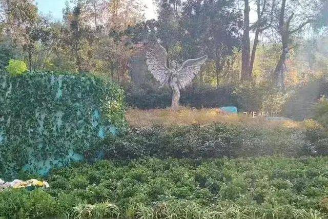 李玟武汉墓地杂草丛生<strong></p>
<p>币交易平台</strong>？其姐姐发文回应