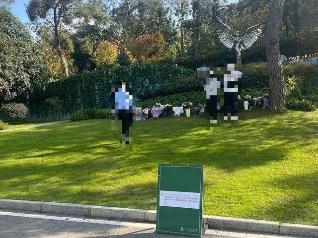 李玟武汉墓地杂草丛生<strong></p>
<p>币交易平台</strong>？其姐姐发文回应