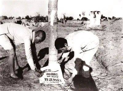 “怀中利剑<strong></p>
<p>哪个虚拟币交易平台好</strong>，袖中匕首”——抗战时期的敌后武工队