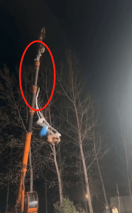 河南一杂技演员表演时绳子断裂坠落<strong></p>
<p>虚拟币挖矿程序原理</strong>，直播间千人目睹，知情人：妻子去年发生意外去世