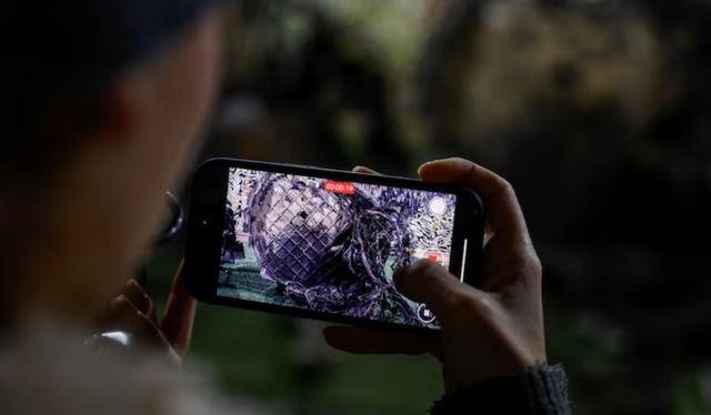 乌克兰展示“榛树”导弹残骸<strong></p>
<p>虚拟币挖矿程序原理</strong>，俄媒：这咋看着像乌军武器碎片？