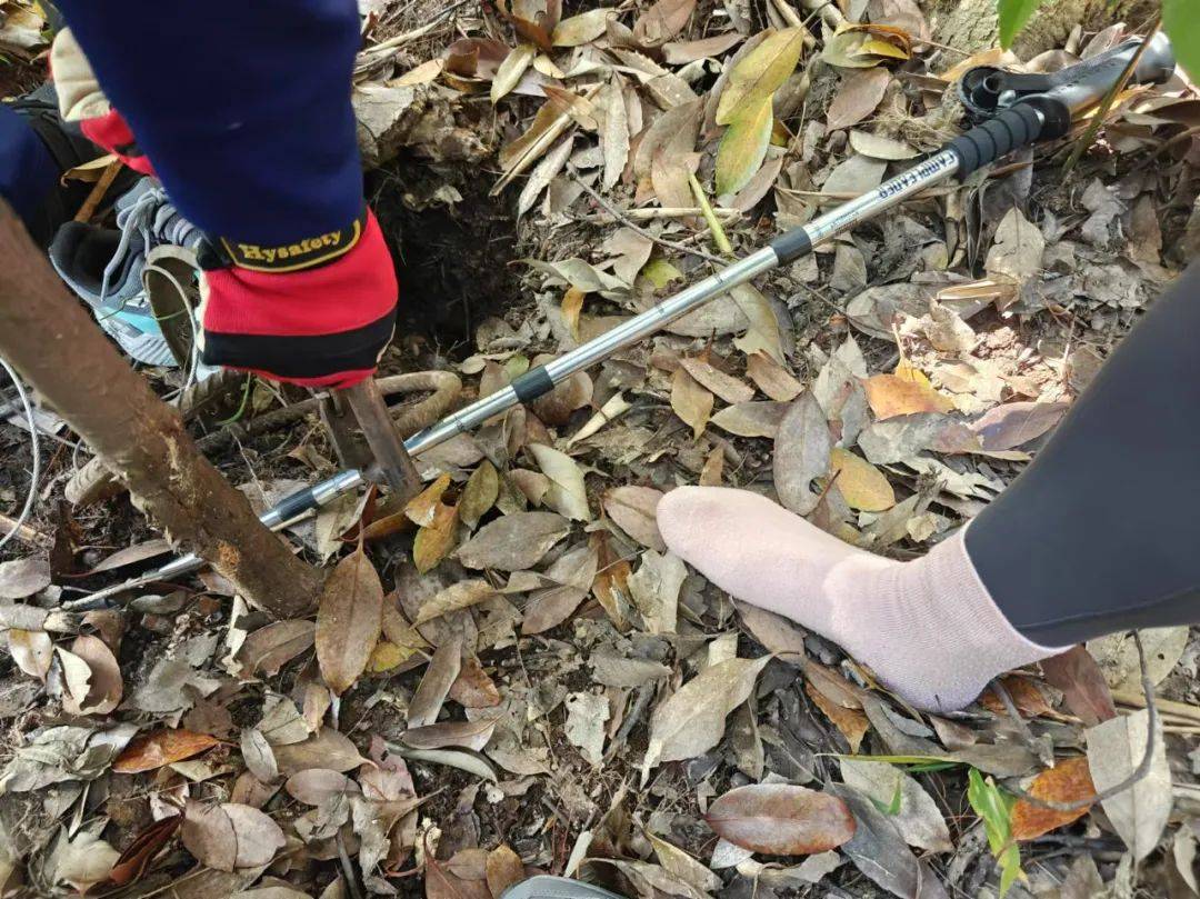 不要去<strong></p>
<p>现在有多少种虚拟币</strong>！杭州半天出现7起！紧急提醒