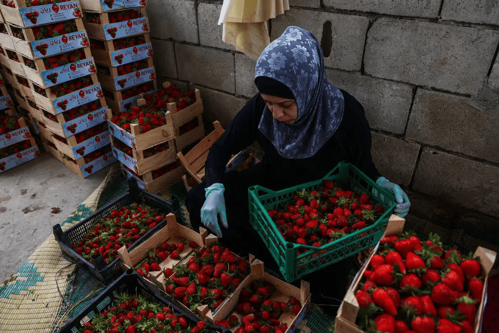 叙利亚战火持续<strong></p>
<p>现在最火的虚拟币</strong>，攻下阿勒颇的反对派武装到底什么来头？在下一盘什么棋？