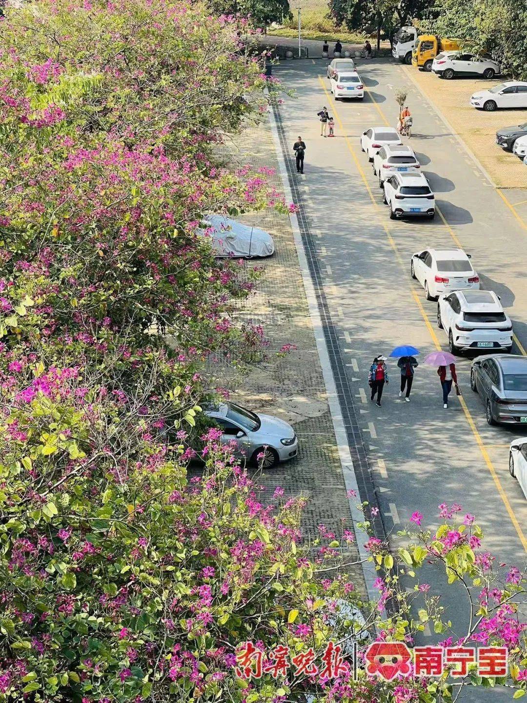 广西将开启“冻人”模式<strong></p>
<p>虚拟币开源代码下载</strong>！最冷出现在这一天→