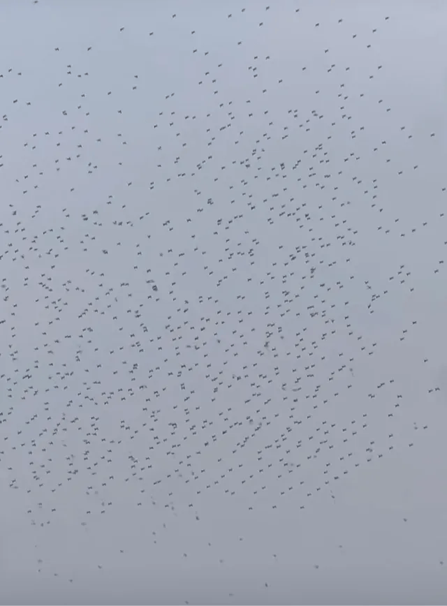 突发坠海<strong></p>
<p>p网虚拟币交易平台</strong>！原因暂不明…赵丽颖等明星发声