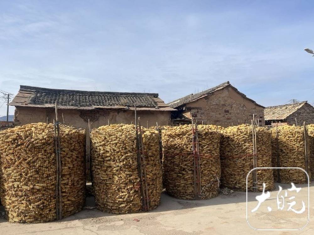 山西女硕士走失13年被找回：如何被收留？村民说法不一 <strong></p>
<p>p网虚拟币交易平台</strong>，男方堂哥称曾登过寻人启事