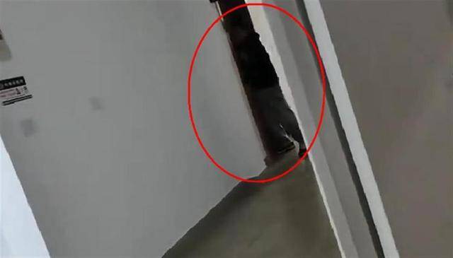 上海一高校男生晚上撞开女生寝室门<strong></p>
<p>虚拟币钱包 对接代码</strong>，校方：醉酒后走错了