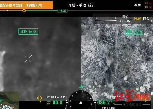 揭秘“野猪猎捕队”丨海拔3000米高山密林<strong></p>
<p>php虚拟币网站源码</strong>，记者跟队直击猎捕野猪全过程