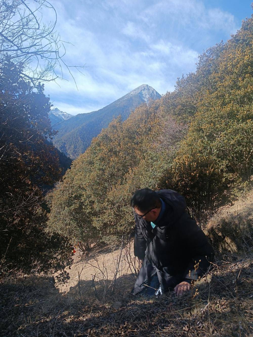 揭秘“野猪猎捕队”丨海拔3000米高山密林<strong></p>
<p>php虚拟币网站源码</strong>，记者跟队直击猎捕野猪全过程