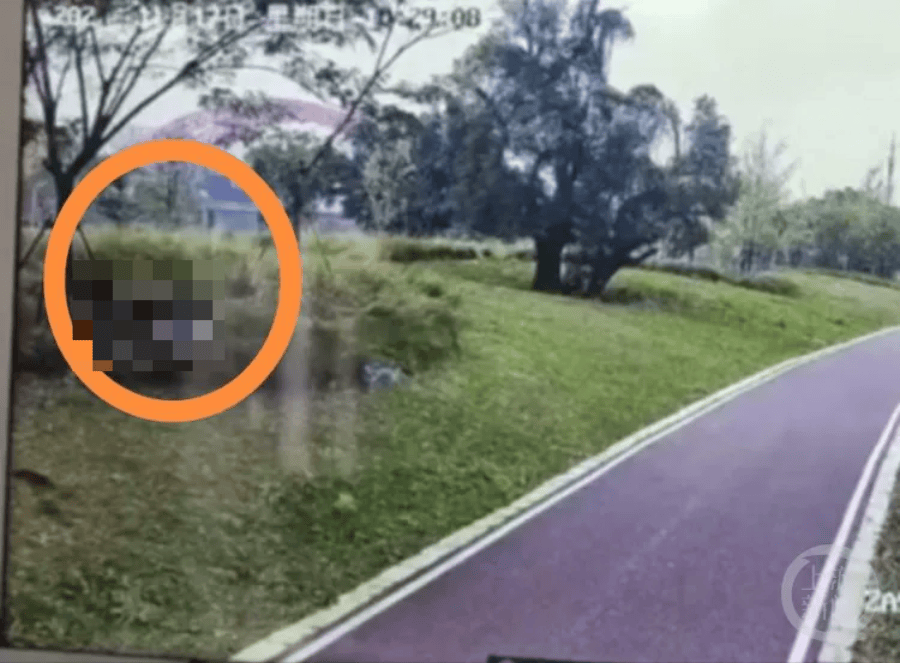 钟某某、王某某被采取刑事强制措施<strong></p>
<p>中国首款虚拟币龙币</strong>！