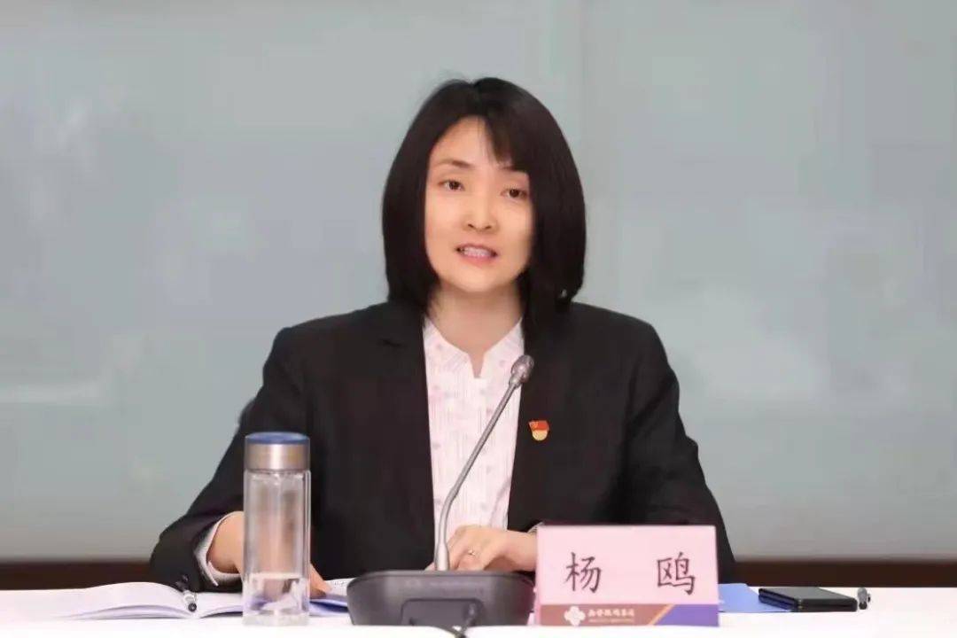 杨鸥​<strong></p>
<p>中国首款虚拟币龙币</strong>，履新职