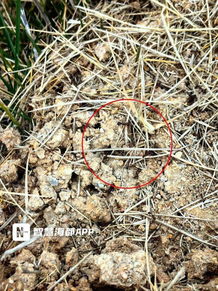 小心<strong></p>
<p>lisk虚拟币</strong>！毒性强！福州又发现了！千万别碰